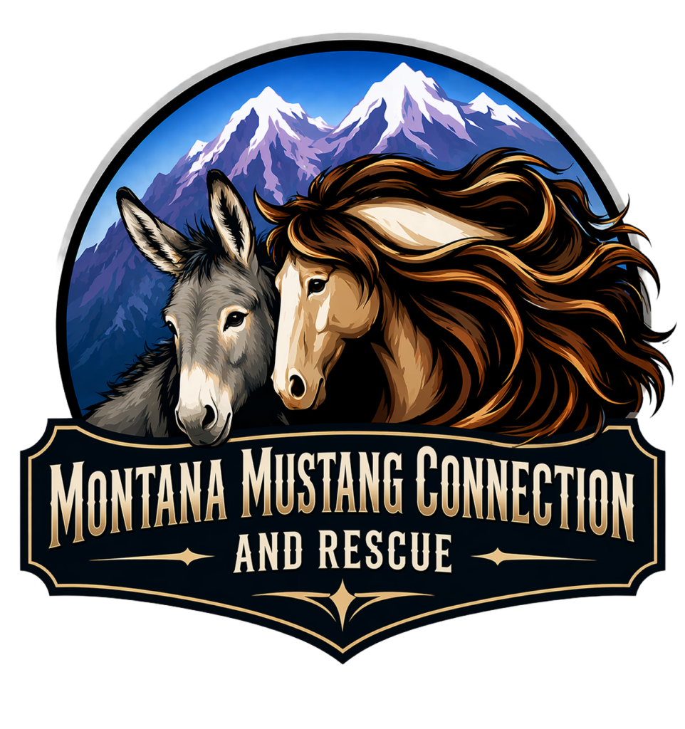 Montana Mustang Connection Logo